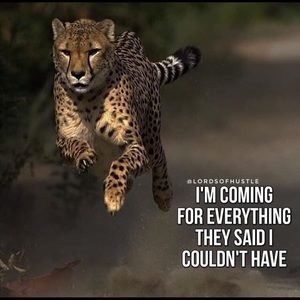 Meet your Posher, Chad